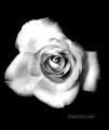 xsh507 flores en blanco y negro